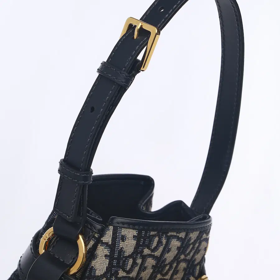 Dior Oblique 帆布材质的 Dior 水桶包（中号）