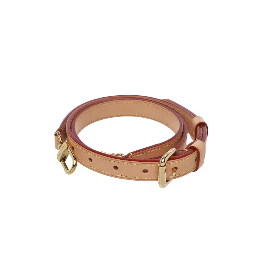 路易威登 Monogram Sommeville BB