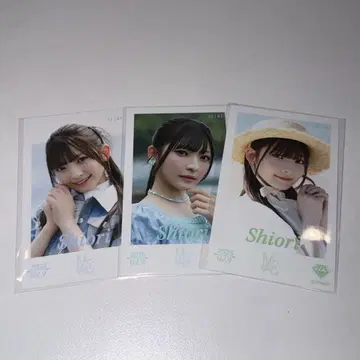 노이메 나카타 시오리 미니 사진 3장 세트
