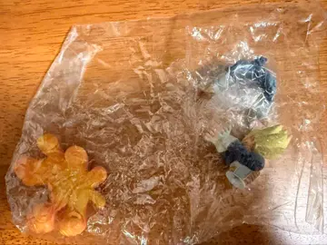 드래곤볼 캡슐 네오 베지터 파이널 플래시 드라캅