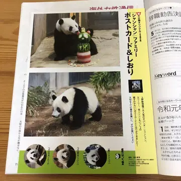 팬더 엽서, 달력 세트 잡지 부록