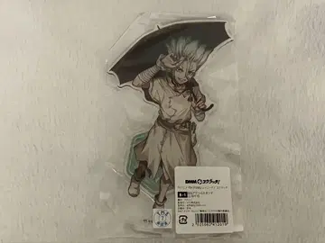 Dr.STONE 이시가미 센쿠 레인즈데이 스크래치 아크릴 스탠드