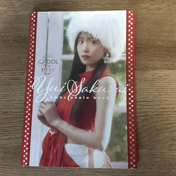 사쿠라이 유이 사진집
