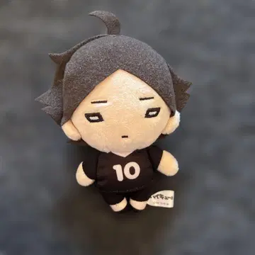 하이큐!! 스나 린타로 니토탄 마스코트 봉제 인형