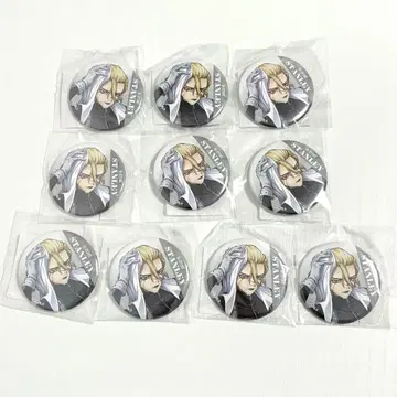 Dr.STONE DMM 스크래치 레이니 데이 스탠리 캔뱃지 10개