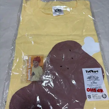 하이큐 하이큐 팬파크 히나타 쇼요 오리고기 T셔츠