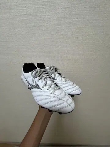 가격 인하 중 축구화 화이트 스파이크
