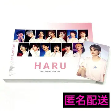 SEVENTEEN HARU Blu-ray 트레이딩 카드 준 JUN 하르콘