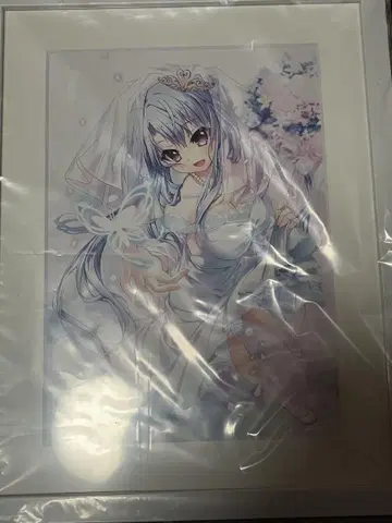 Summer Pockets RB 나비의 꿈 캐릭터 파인 그래프