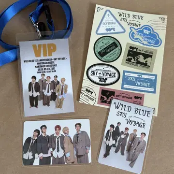WILD BLUE 트레이딩 카드 은색 테두리 VIP 패스 FC 한정판 씰