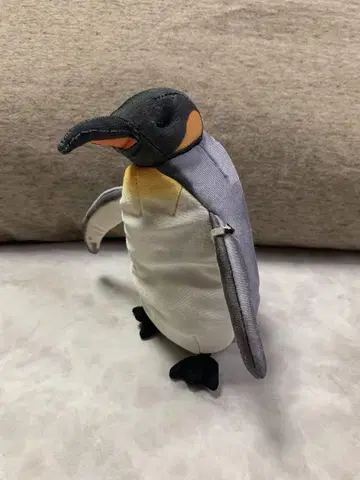 해유관 펭귄 봉제 인형
