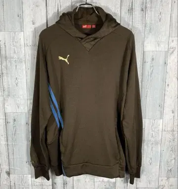 Puma 브라운 후드 부착 후드티