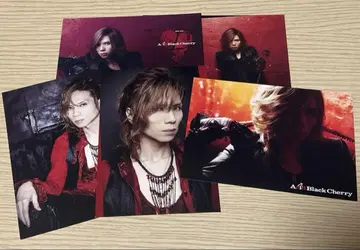Acid Black Cherry L 엽서 레어 2015