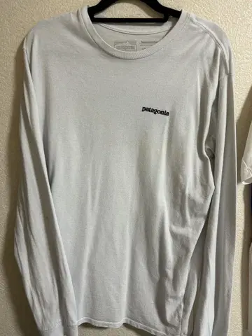 파타고니아 patagonia 롱T