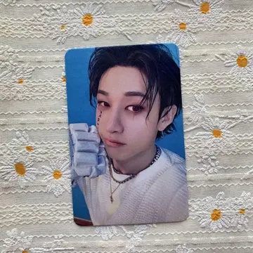 StrayKids 타겟 미국 Target 한정판 트레이딩 카드 방찬