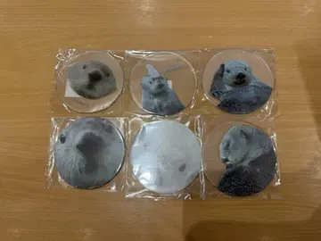 도바 수족관 메이 키라 코스터 x 6