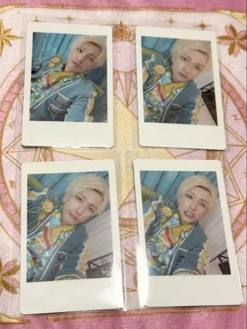 팬더드래곤 하피카 요타