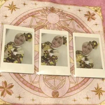 팬더 드래곤 하피카 요우타