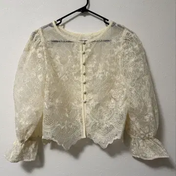 KBF 오간자 자수 크롭 블라우스