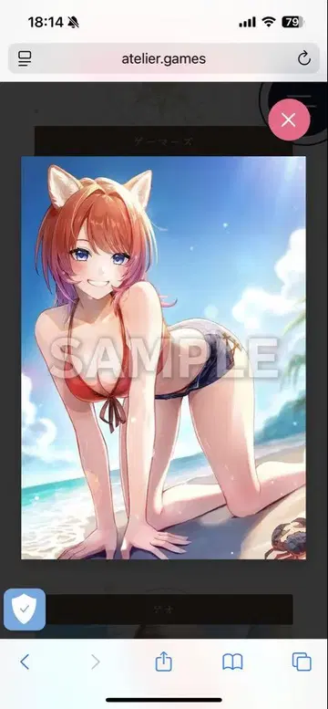 게이머즈 특전 레슬레리아나의 아틀리에 B2 태피스트리