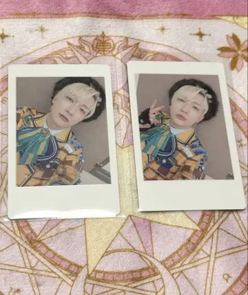 팬더드래곤 하피카 요타