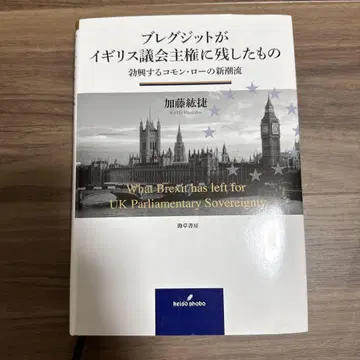 브렉시트가 영국 의회 주권에 남긴 것 : 발흥하는 코먼 로의 새로운 조류