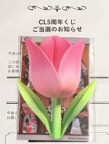 CL 복권 B상 GENERATIONS