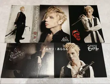 Acid Black Cherry 엽서 5장 세트 Erect