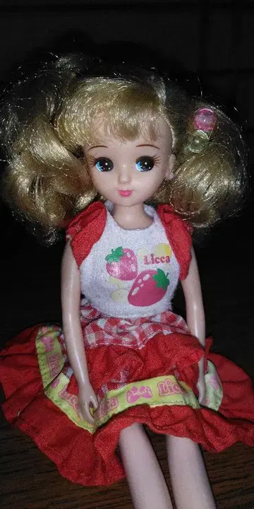 리카짱 인형 본체 딸기 무늬