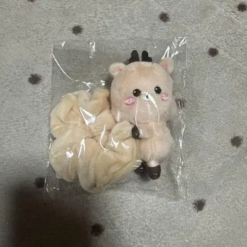 공식 MD RIIZE 스크런치 성찬