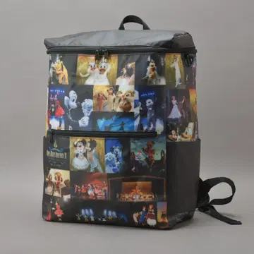 새상품급 도쿄 디즈니랜드 원맨즈 드림 2 카메라 백팩