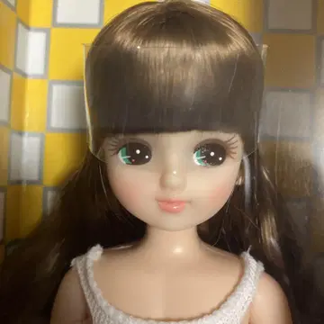 리카짱 캐슬 컨트리 모델