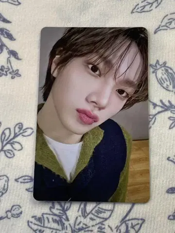 BOYNEXTDOOR 입장 혜택 선호 회장 한정판 후쿠오카 트레이딩 카드