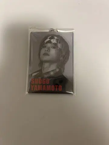 THERAMPAGE 야마모토 쇼고 Everest 아크릴 키링 사진 키링
