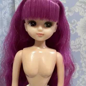 리카짱 캐슬 보라색 헤어 옷 갈아입히기 인형 일본제 땋은 머리 파마 헤어