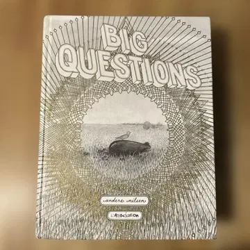 Big Questions 언더 스닐센