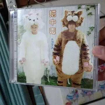 고양이 중독