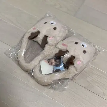 RIIZE POPUP 성찬 슬리퍼 (트레이딩 카드 포함)