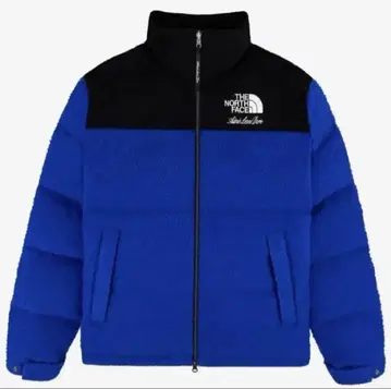 TNF x Aime Leon Dore Nuptse Jacket Blue