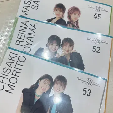헬로프로 핑포스 일일 사진 등 세트