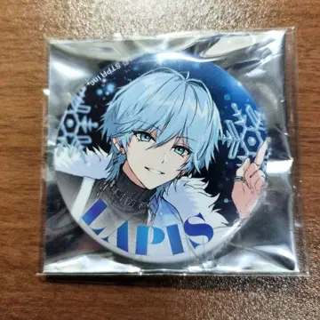 Meteorites  Lapis winter 캔뱃지