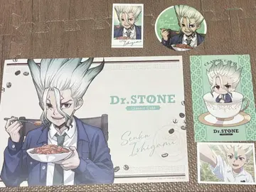 Dr.STONE 아모카페 센쿠