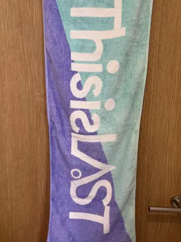 This is Last 타월 2색 세트