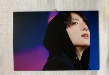 BTS 정국 패널