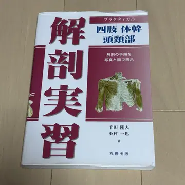 프랙티컬 해부 실습 사지 몸통 머리와 목