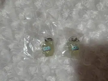 한교동 라떼 곰 메지루시 액세서리