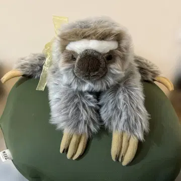 나태주 봉제 인형 본체