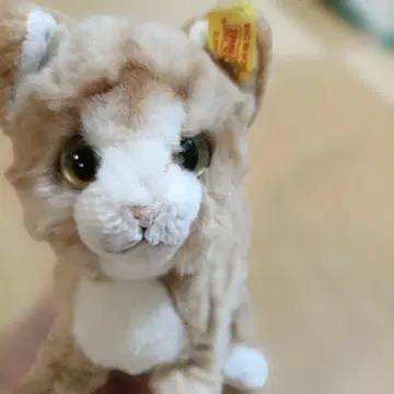 슈타이프 고양이