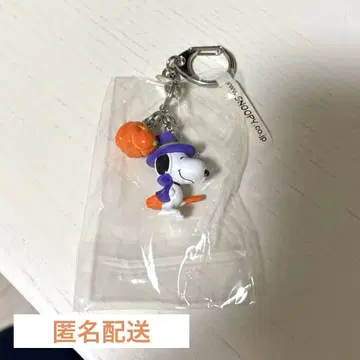 스누피 할로윈 키링 호박 빗 레어 USJ 유니버셜
