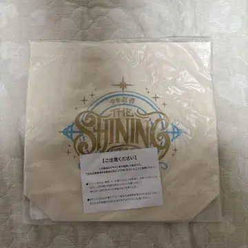 더 샤이닝 캔버스 백